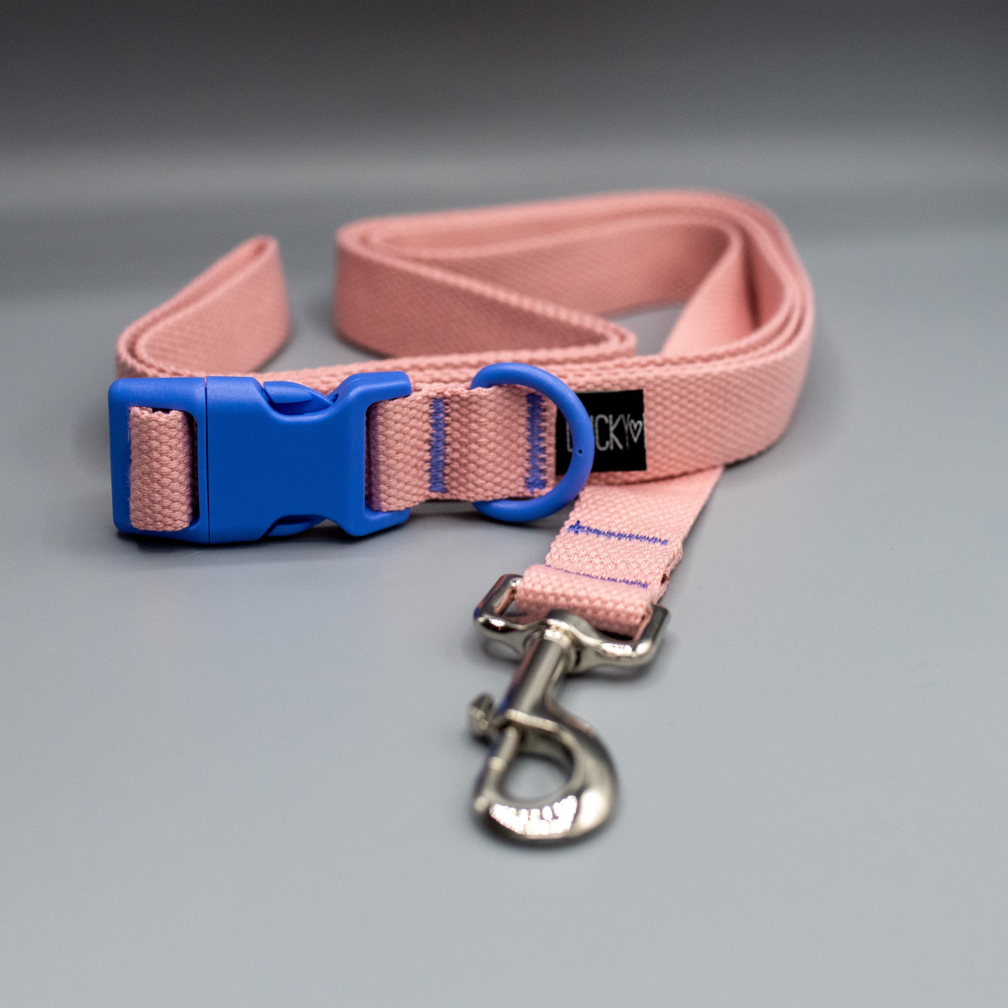 PLUS Halsband und Leinenset Honey