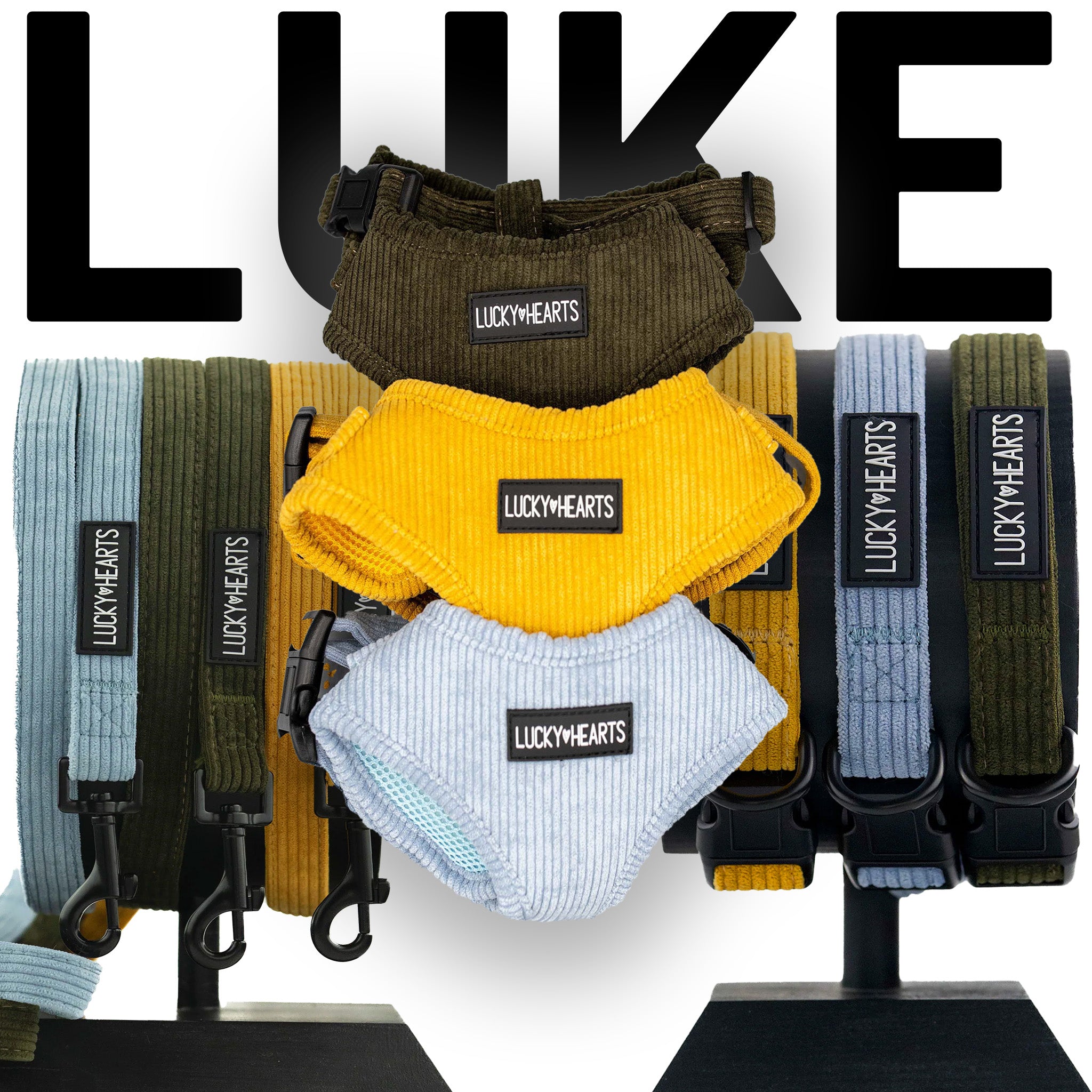 Luke Bundle-Set für Hunde