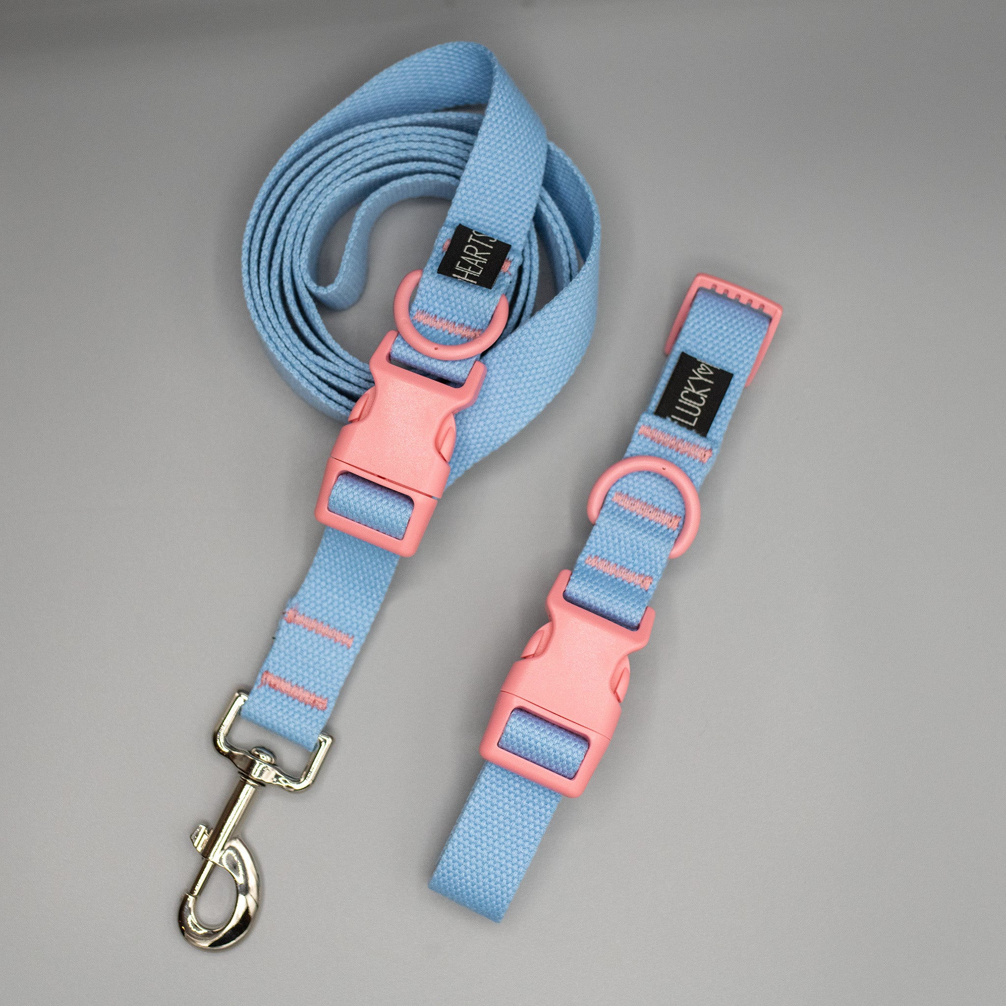PLUS Halsband und Leinenset Honey