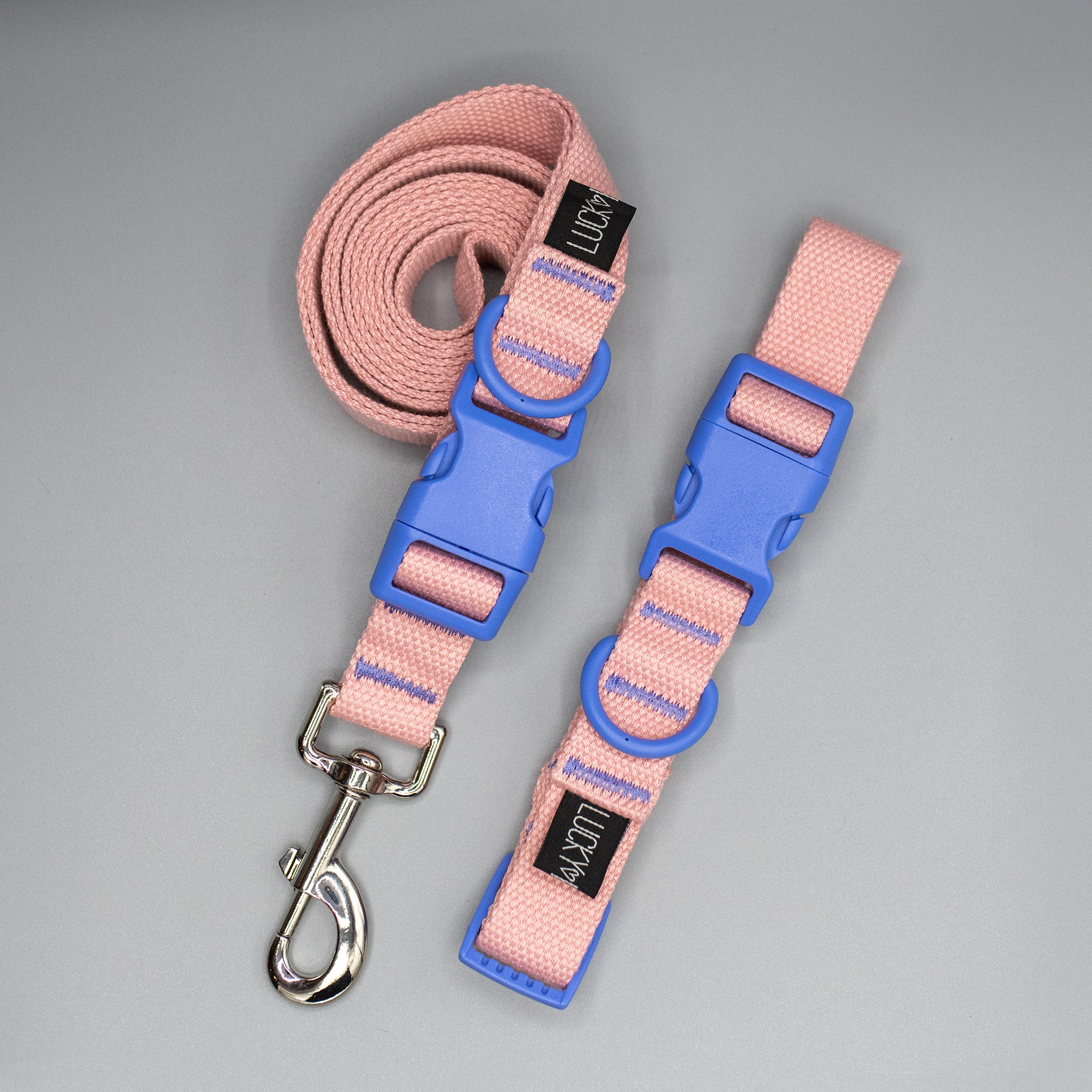 PLUS Halsband und Leinenset Honey
