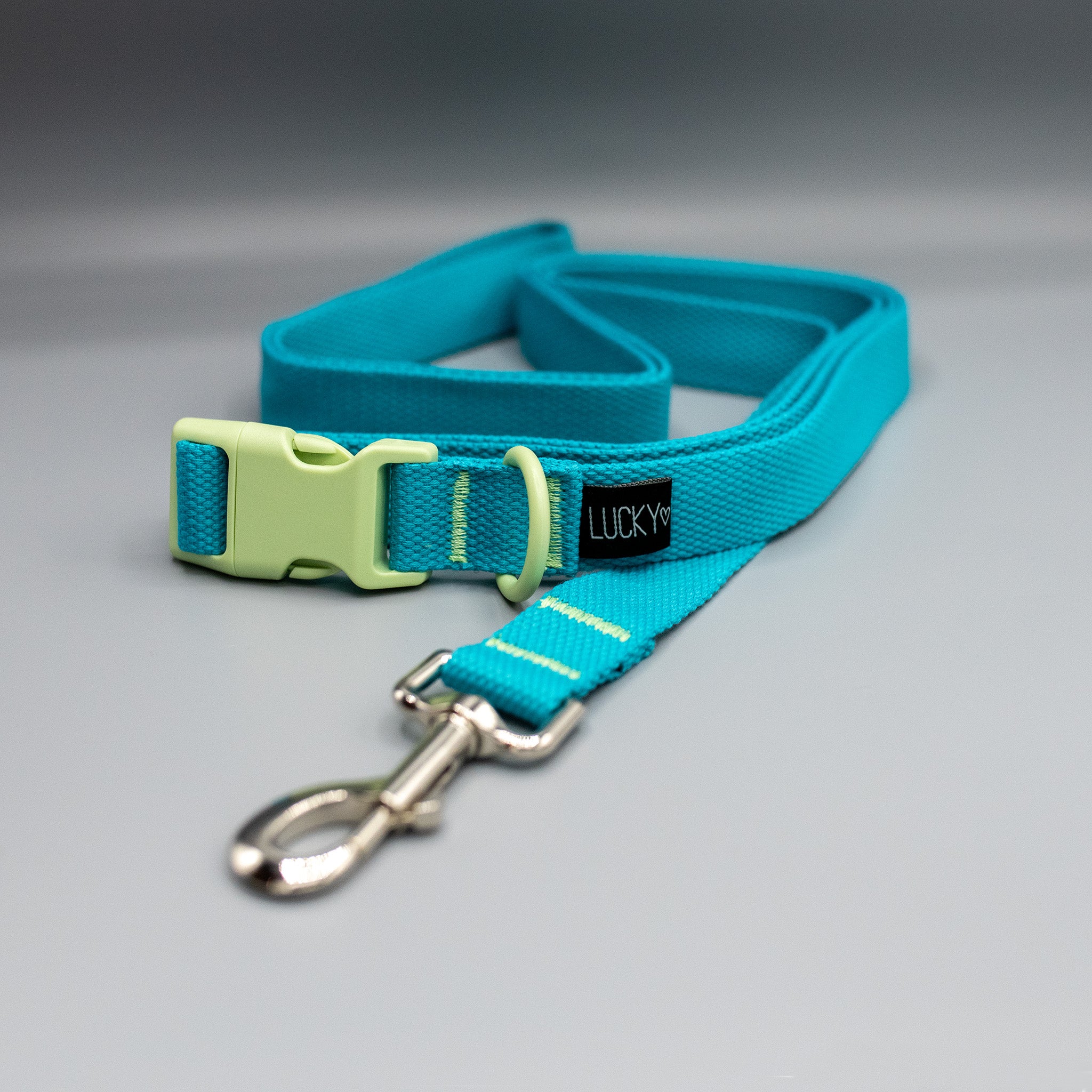 PLUS Halsband und Leinenset Honey