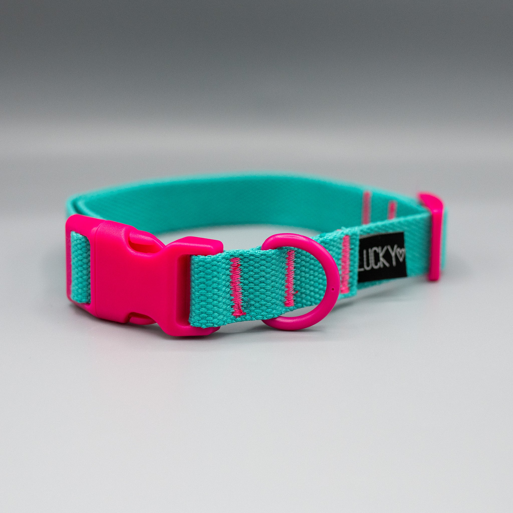 PLUS Halsband und Leinenset Honey