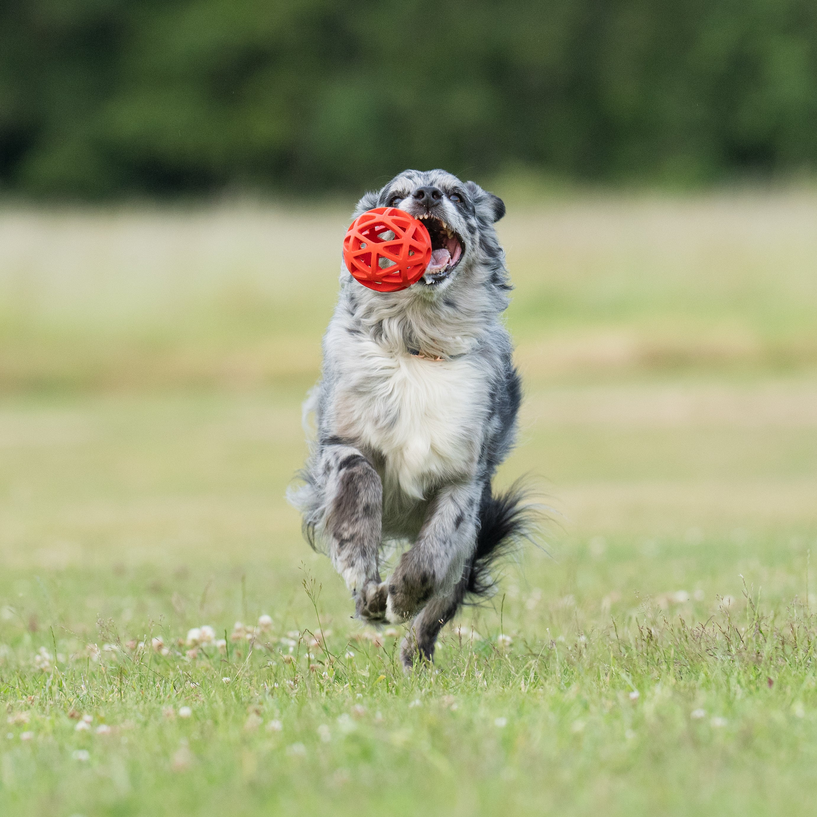Gitterball Fun - small