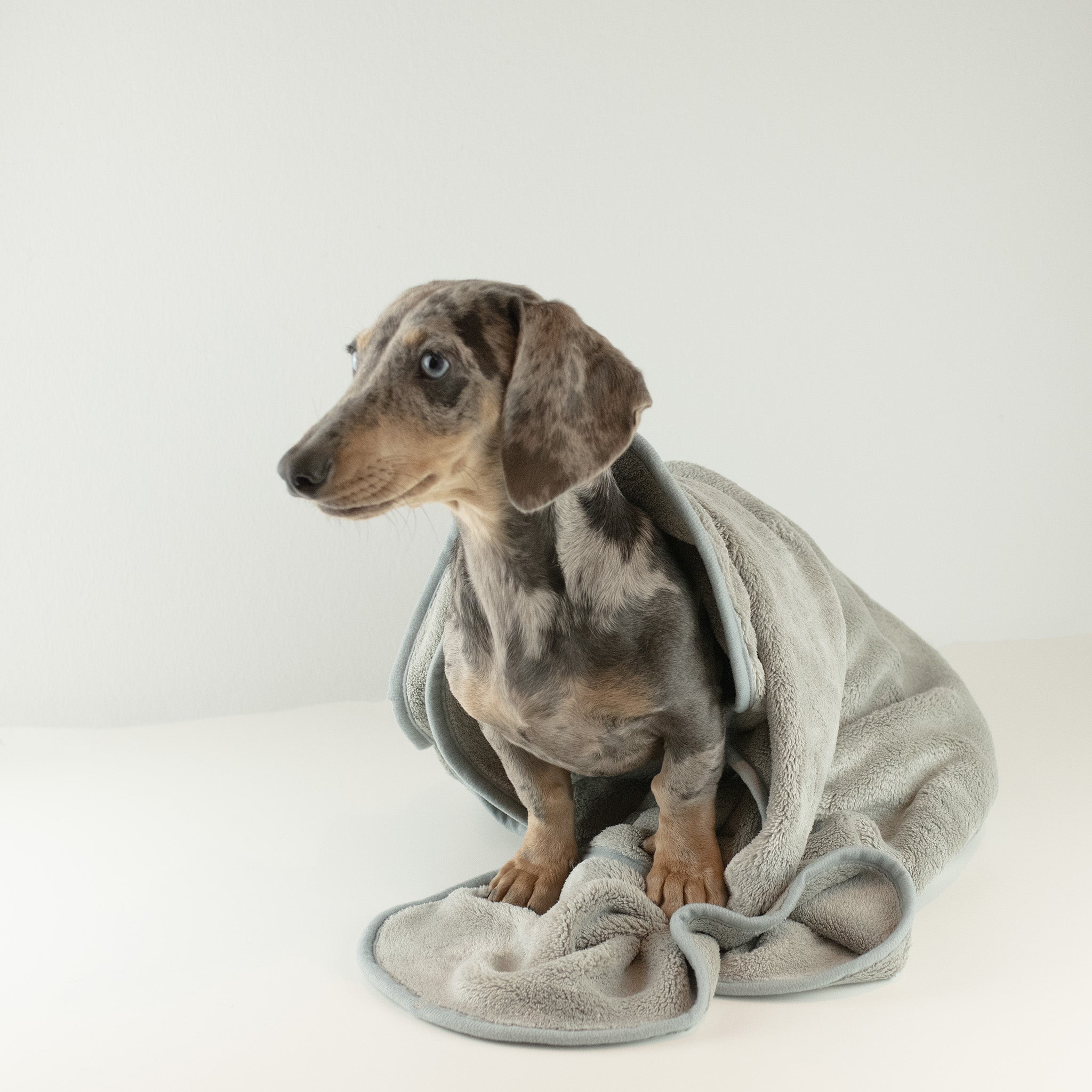 PLUS Lucky Hearts Hundehandtuch Dreckspatz