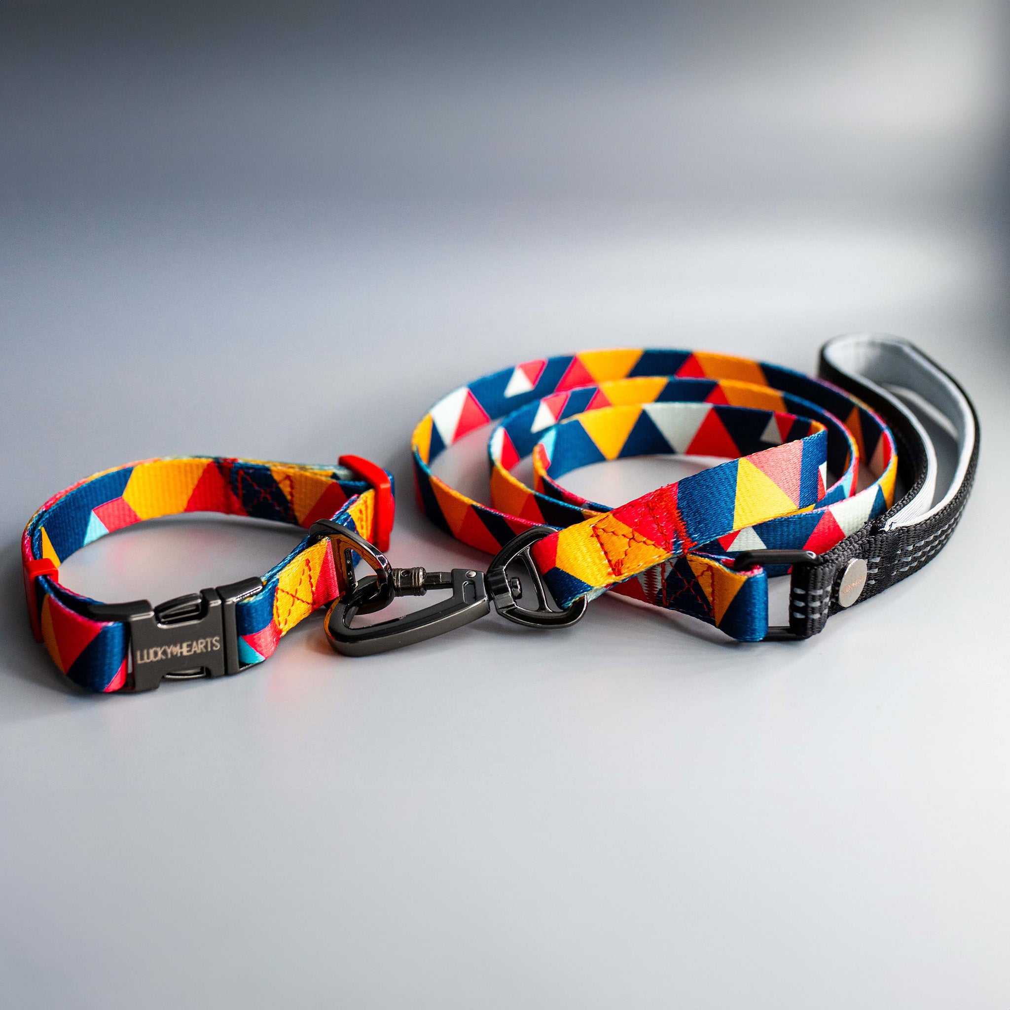 Halsband und Leinenset Rainbow Paws