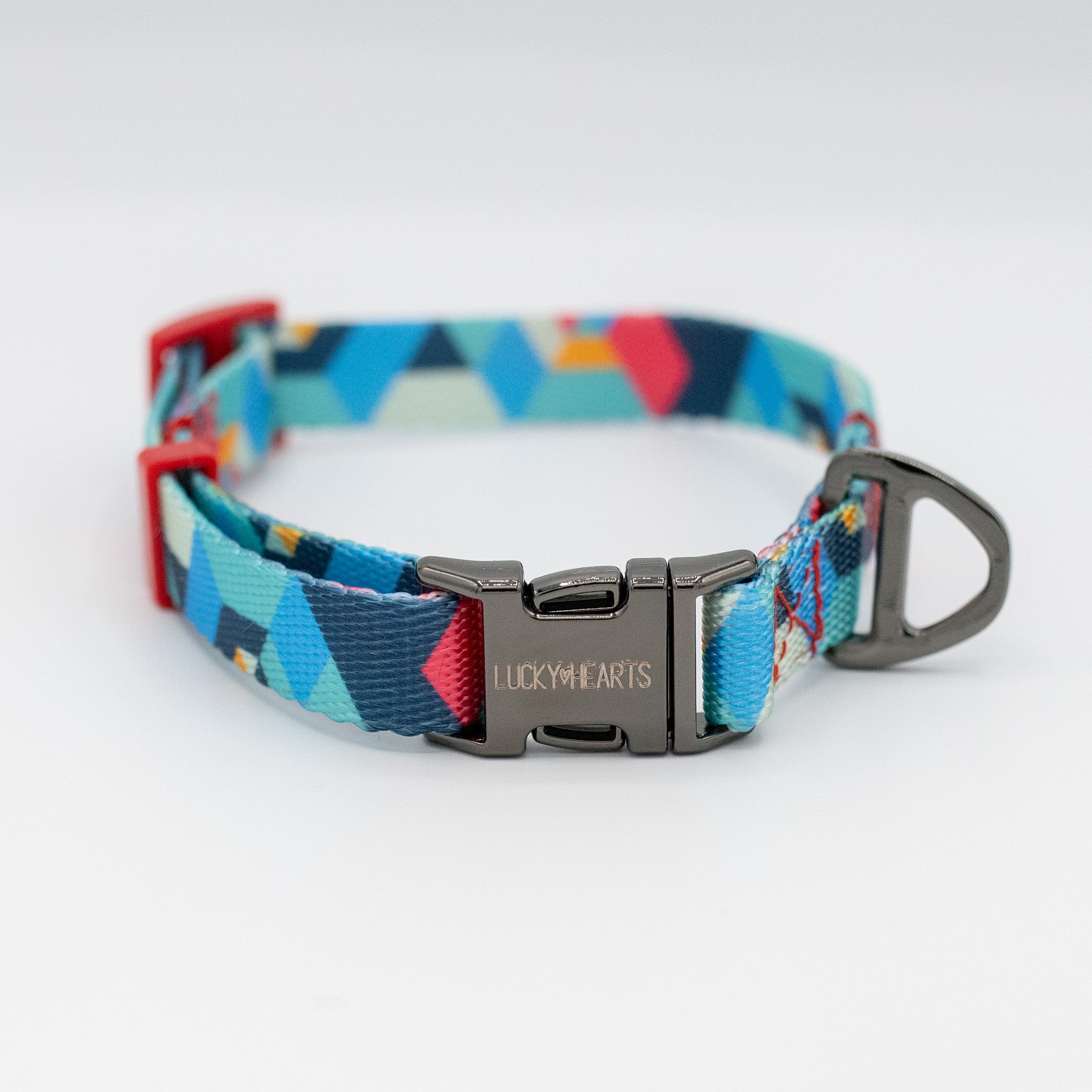 Halsband und Leinenset Rainbow Paws