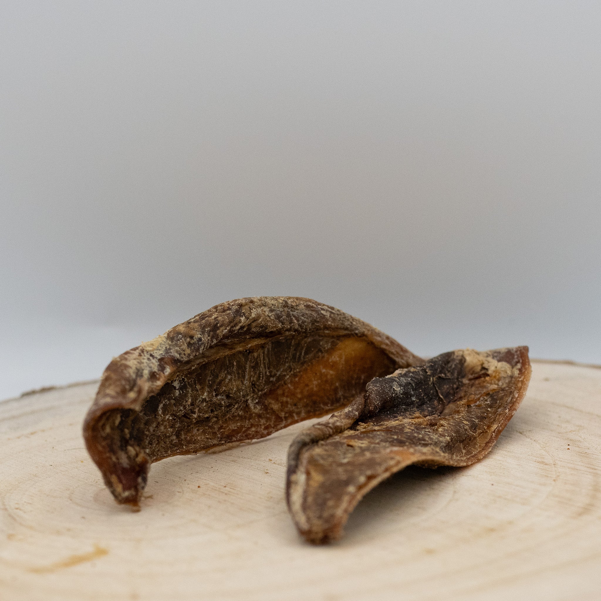 Schaufelknorpel Reh